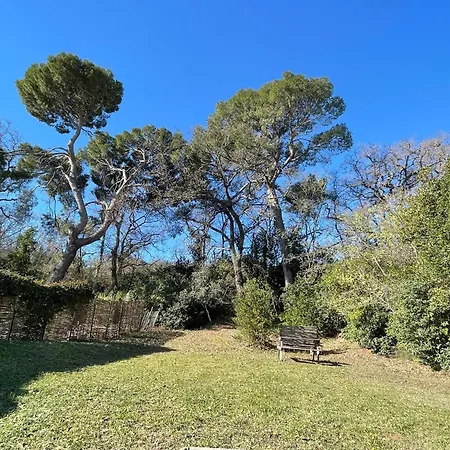 Harmony - Cosy In The South Of France Holiday home Lezignan-la-Cebe